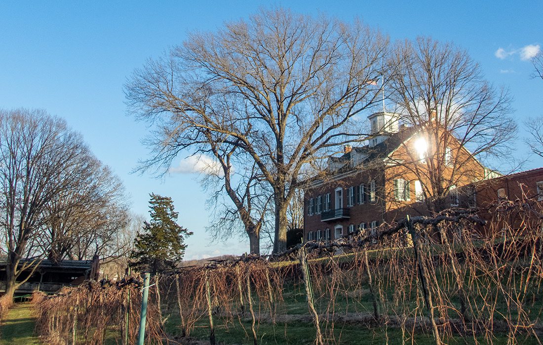 Winery in Hermann, Missouri