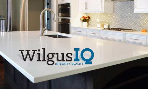 WilgusIQ | 417 Magazine
