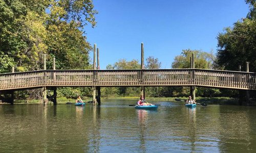 Wellness for the Win at Connell Insurance Inc.