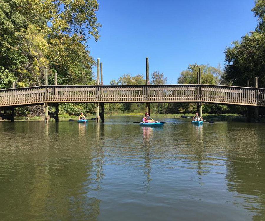 Wellness for the Win at Connell Insurance Inc.