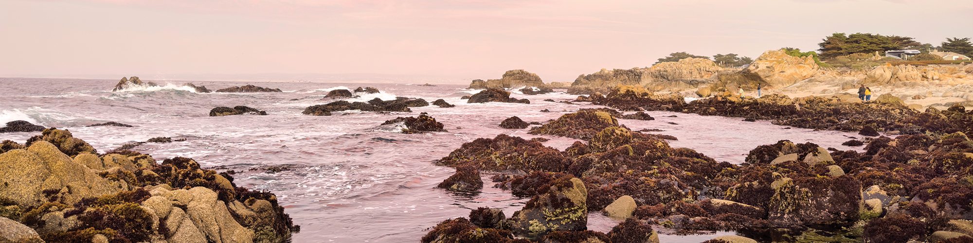 Montery Bay, California