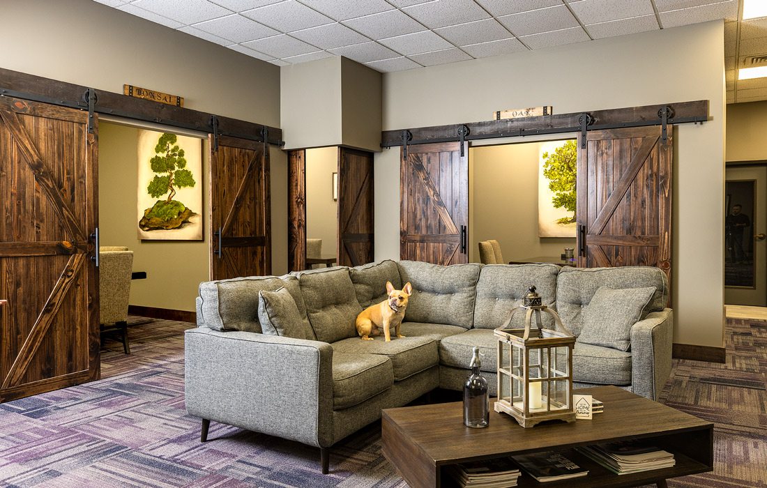 Dog on couch