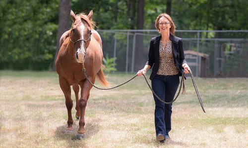 woman walking a horse