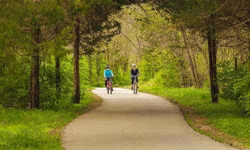 Updates Being Made to Improve 417-Land Trails