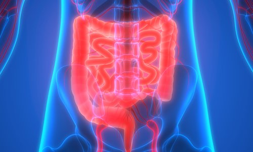 Let’s Talk About Poop: Caring for Your Colon