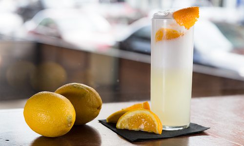 gin fiz with lemons and orange slices