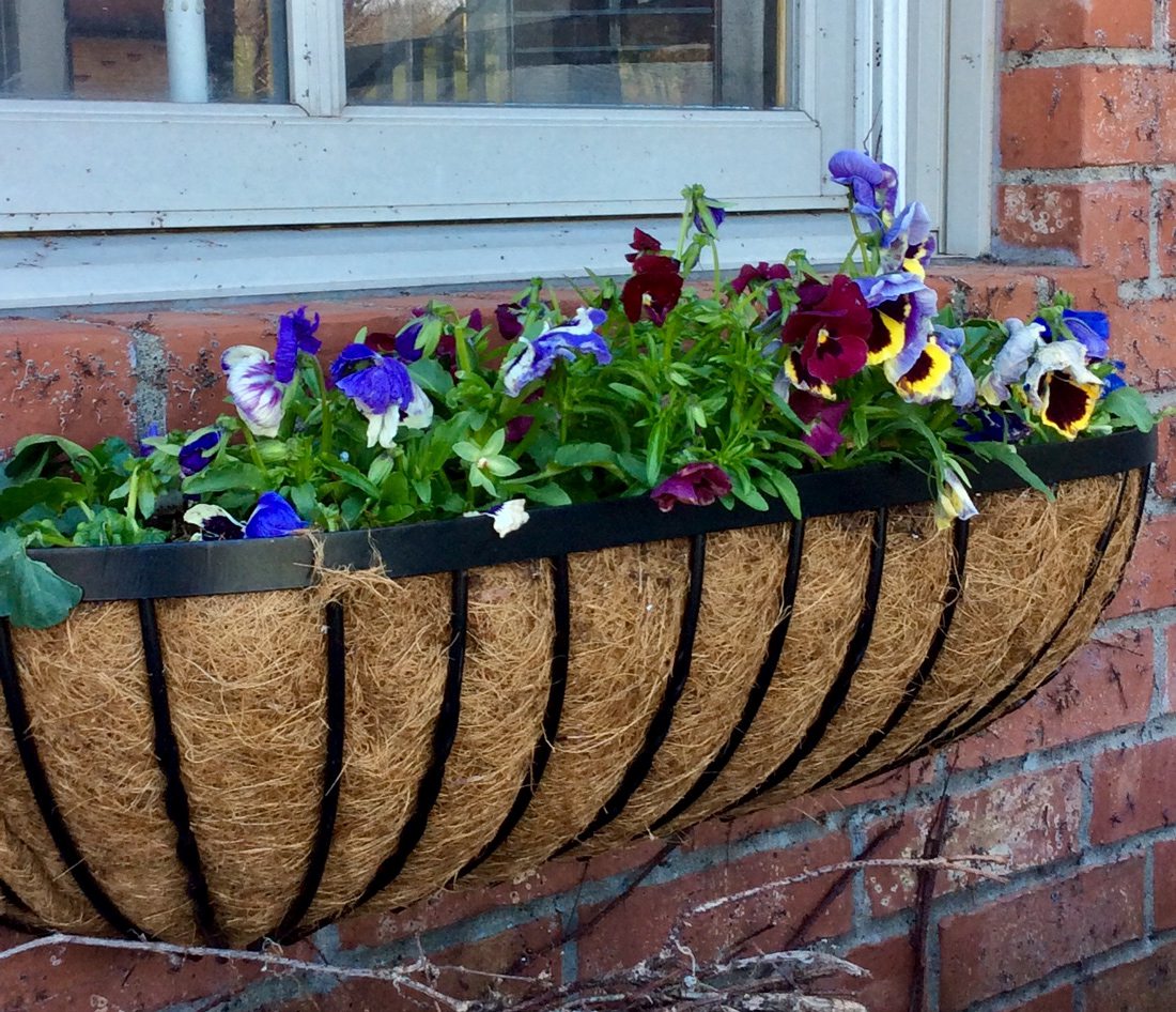 Wrought iron window boxes on Colonial-style home.