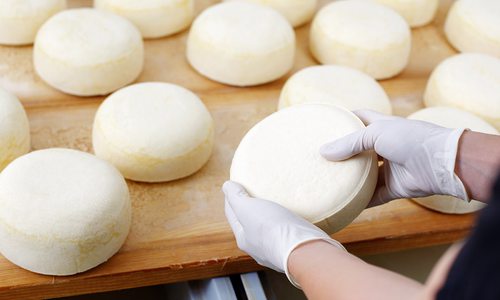 Shutterstock photo of making cheese