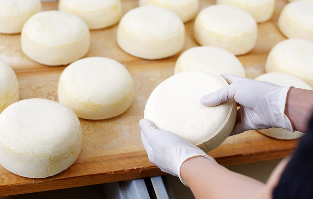 Shutterstock photo of making cheese