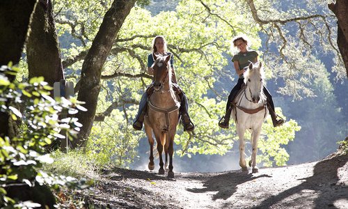 Horseback riders on trail stock image