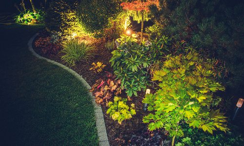 Stock image of backyard lighting