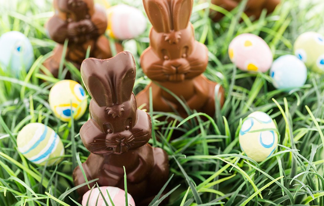 Chocolate bunnies in grass stock image