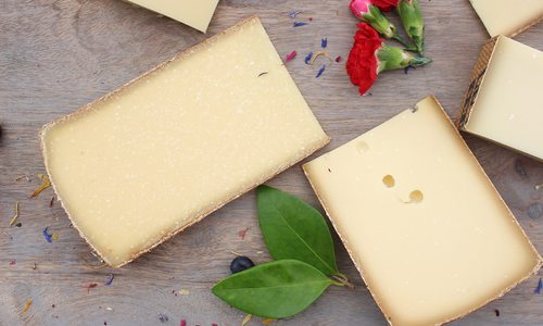 Cheeses from Grison Dairy & Creamery