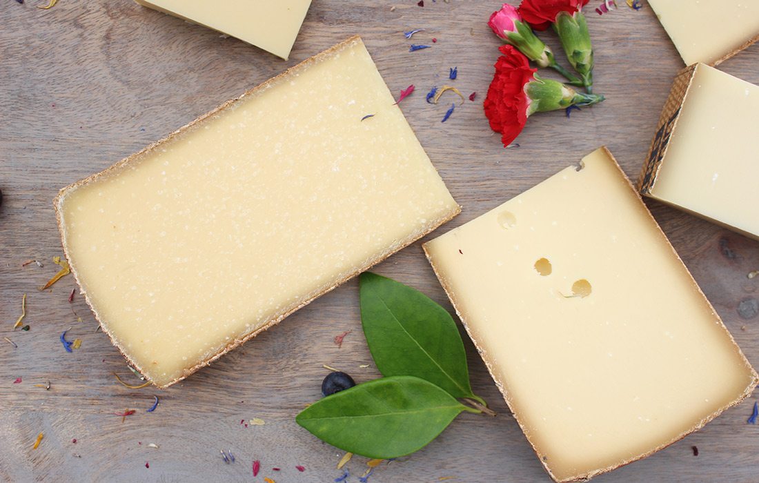 Cheese