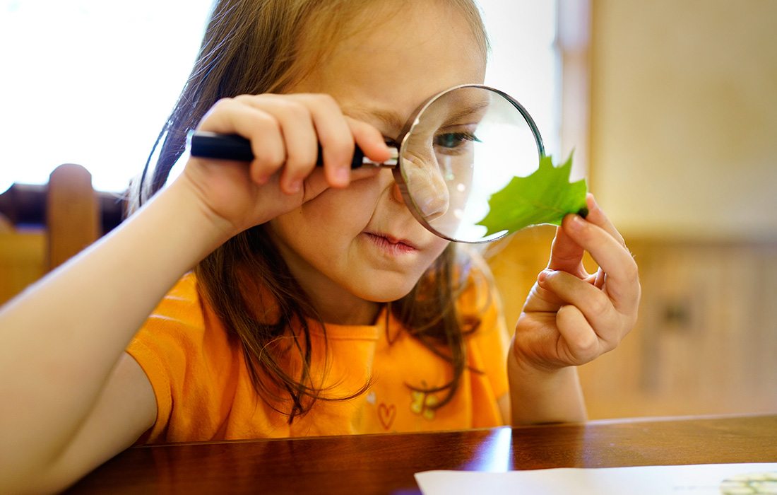 Kid looking at plant at Wonders of Wildlife summer camp.