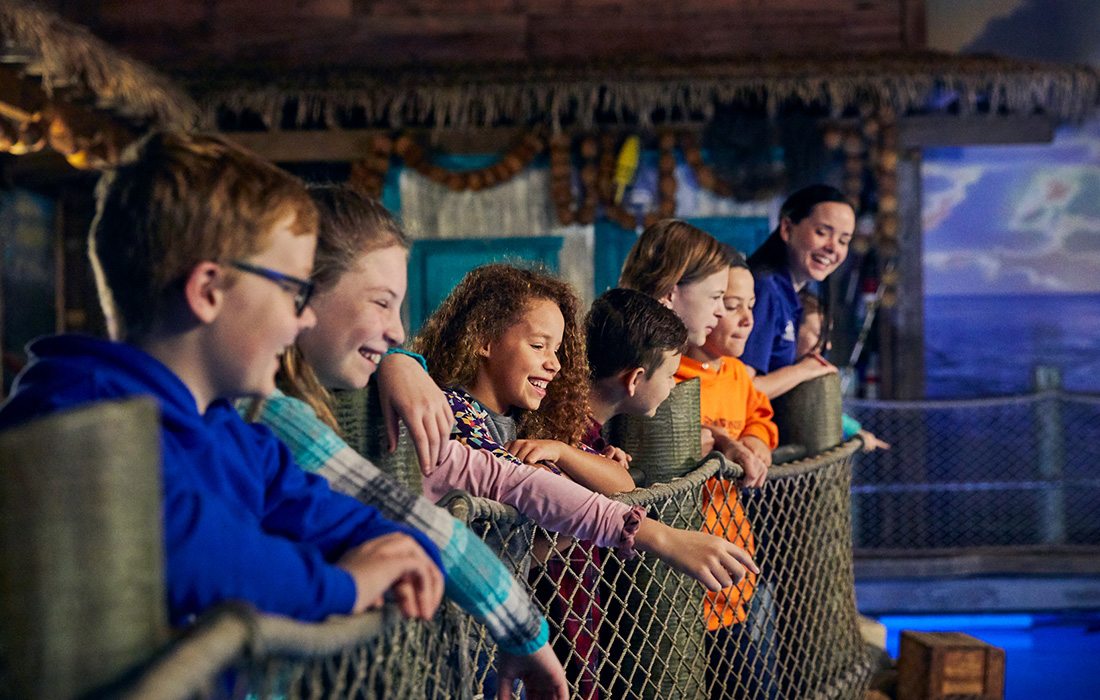 There are a variety of Safari themed summer camps at Wonders of Wildlife.