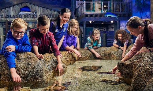 Unleash Your Child’s Wild Side with these Summer Camps at Wonders of Wildlife