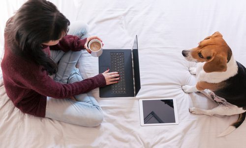 Woman working from home in bed with a dog